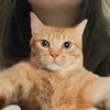 qikinnichu
