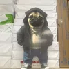 centino.capperino