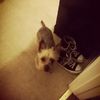 samy_197