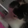 immikata