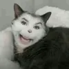 xbeijdufn