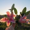 _user_5628274