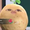 ireneespam