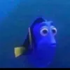 ilmlsmamh