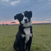 rach_204