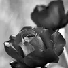 stephhh1206__