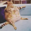 froziolysis