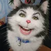 junieebjonezz