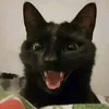 korilakumazz