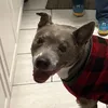 oop.de.loop
