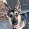 my.jolene