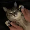 emezzle