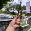 foriknowtheplans05