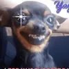 mytootyhurts