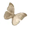 le_papillonn