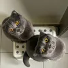 thegreycatduo
