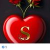 shahida.rizvi