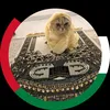 fazzy_h
