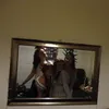 userbaby7521