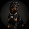 camilo.tik_tok