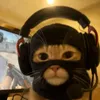 rvspiir