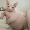 urfri3d