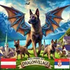 malinois_dragonvillage