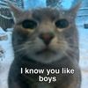 meowimakitteh