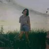 bugsinabuggy