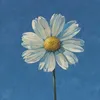 lynnn.94