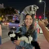 sillyshortlatina