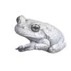 Greyfrog.