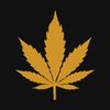 purityhemp