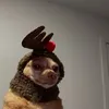 casualannabel