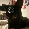 jazzybbbogosian