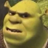 shrekgotthatwap