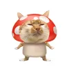 hangyodon._.8310