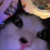 its.me_jazzy