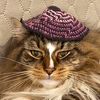 hotjewishcatlady