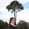 moneymakingbee