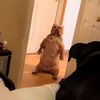 sknights_32