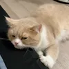 huyanhhhhhh_