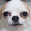 moodymoonz