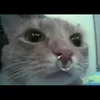 cocainerap