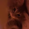 miaa.luvsu1