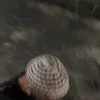 mlkdrew_03