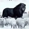 vipnoname