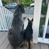 rjpugz