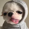 embehaykhocc_5