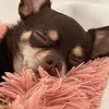 patchibambam